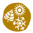 Chanakya University, Bangalore logo