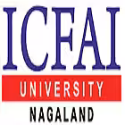 ICFAI University, Nagaland logo