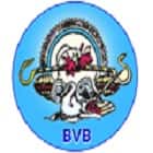 Bharti Vidhya Bhawan Teachers Training College, Banswara logo