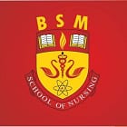 Birendra Shankar Mathur School of Nursing, Lucknow logo