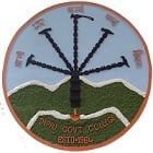 Diphu Government College, Karbi Anglong logo