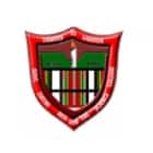 Government Zirtiri Residential Science College, Mizoram logo