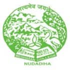 Meghasan College, Mayurbhanj logo