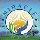 Miracle Institution of Computer Education, Mandsaur logo