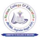 Neelam College of Education, Mandi logo