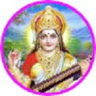 Saraswati College of Teachers Training, Dausa logo