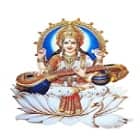 Saraswati Shikshan Prashikshan Mahavidyalaya, Pali logo