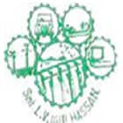 Smt LV Government Polytechnic, Hassan logo